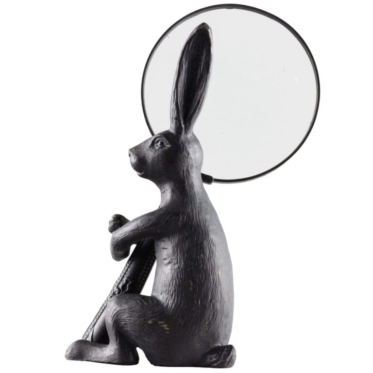 Rabbit with Magnifying Glass Green & Stone Shop
